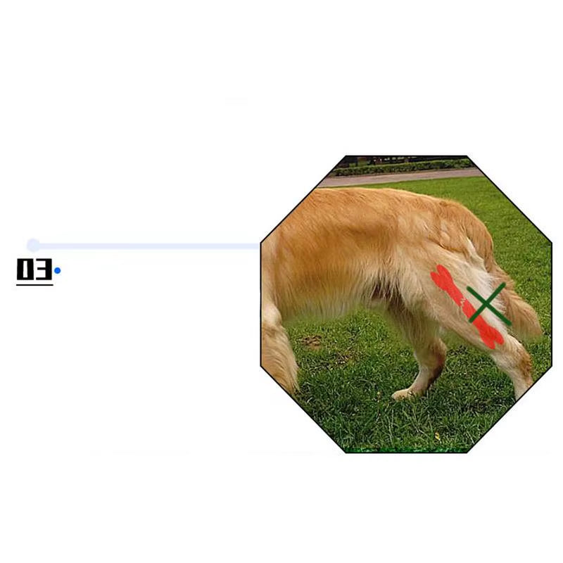 Dog Back Leg Braces Pet Orthopedic Joint Support Brace Portable Pet Knee Wound Protection for Small Animals Recovery