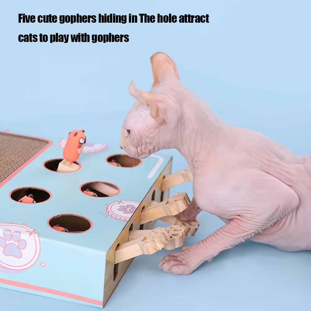 Cat Game Box Maze Interactive Educational Cat Hit Gophers Funny Cat Stick 3 in 1 Cat Toy Chase Hunt Mouse with Scratcher