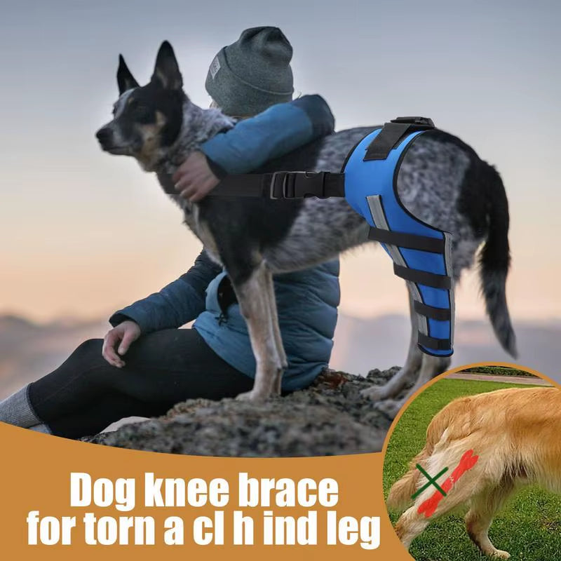 Dog Back Leg Braces Pet Orthopedic Joint Support Brace Portable Pet Knee Wound Protection for Small Animals Recovery