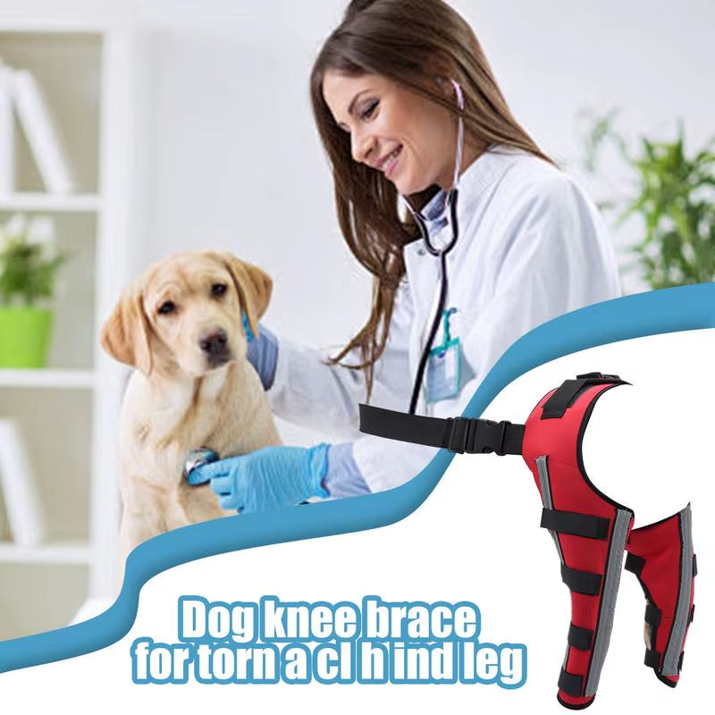 Dog Back Leg Braces Pet Orthopedic Joint Support Brace Portable Pet Knee Wound Protection for Small Animals Recovery