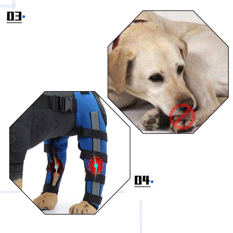 Dog Back Leg Braces Pet Orthopedic Joint Support Brace Portable Pet Knee Wound Protection for Small Animals Recovery