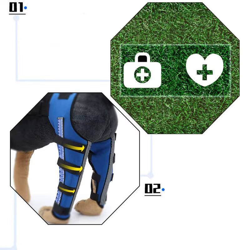 Dog Back Leg Braces Pet Orthopedic Joint Support Brace Portable Pet Knee Wound Protection for Small Animals Recovery